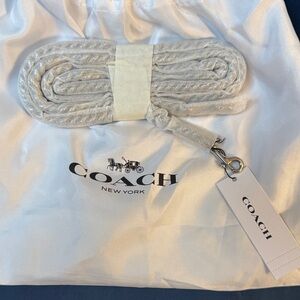 Coach Silver Dinky Replacement Strap